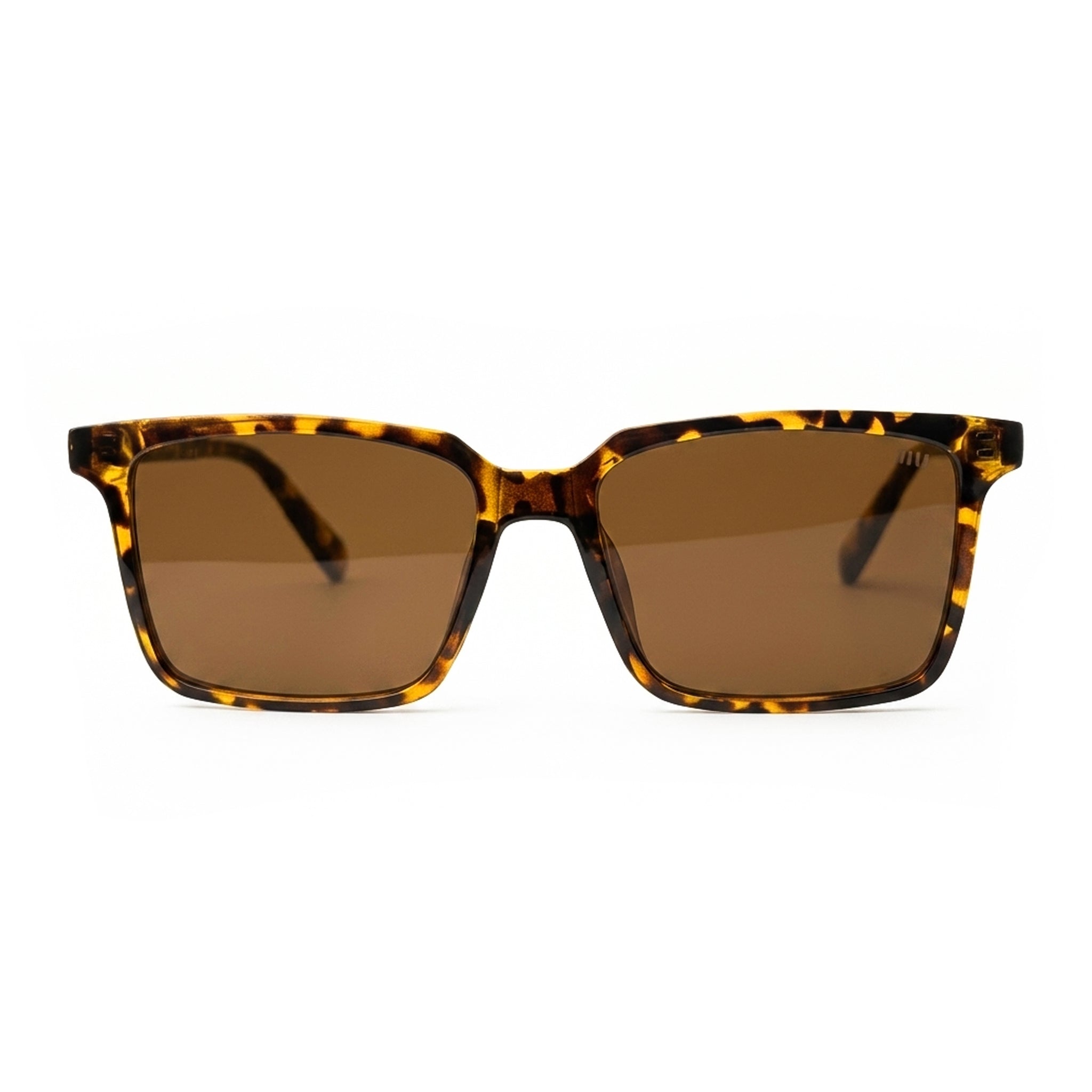 MiuMiu Brown Sunglasses